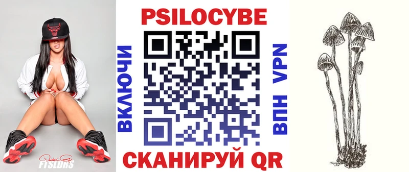 Купить закладки  Новочеркасск  Галлюциногенные грибы GOLDEN TEACHER 